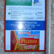 Листовка партии Родина