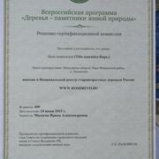 Решение сертификационной комиссии по кавказской липе в Лисинцево